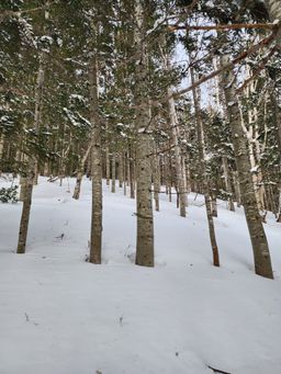 2023-01-28-Furano-035.jpg