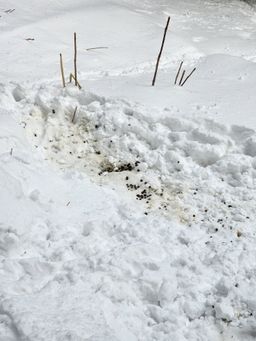 2023-01-28-Furano-036.jpg