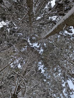 2023-01-28-Furano-038.jpg