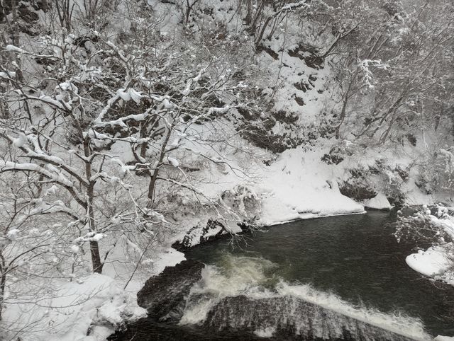 2023-01-30-Myoko-010.jpg
