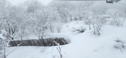 2023-01-31-Myoko-001.jpg