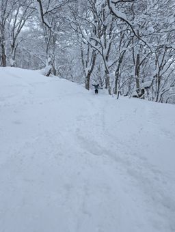 2023-01-31-Myoko-008.jpg