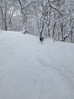 2023-01-31-Myoko-009.jpg