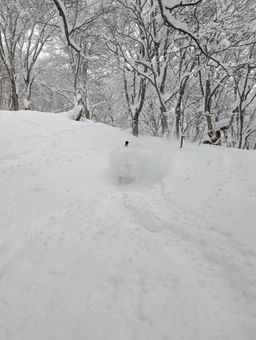 2023-01-31-Myoko-010.jpg