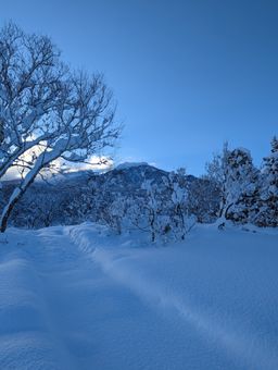 2023-01-31-Myoko-035.jpg