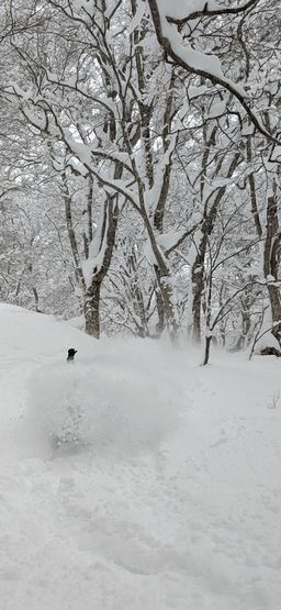 2023-01-31-Myoko-041.jpg