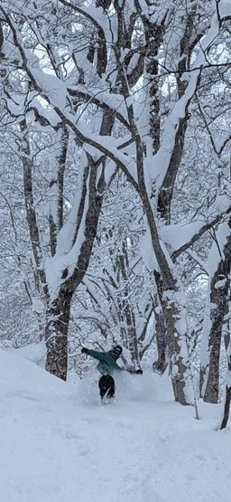 2023-02-01-Myoko-006.jpg