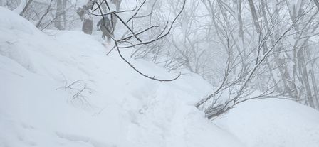 2023-02-02-Myoko-002.jpg