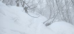 2023-02-02-Myoko-003.jpg