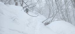 2023-02-02-Myoko-004.jpg