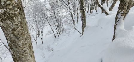 2023-02-02-Myoko-012.jpg