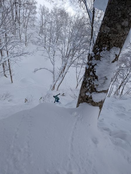 2023-02-02-Myoko-013.jpg