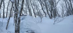 2023-02-02-Myoko-014.jpg