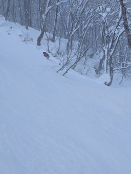 2023-02-02-Myoko-019.jpg