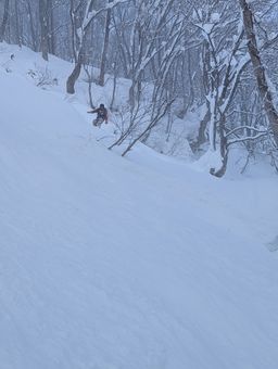 2023-02-02-Myoko-021.jpg