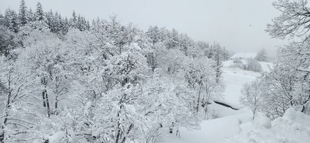 2023-02-03-Myoko-001.jpg