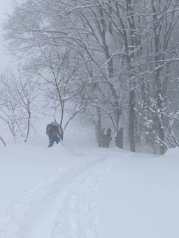 2023-02-03-Myoko-011.jpg