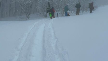 2023-02-03-Myoko-013.jpg