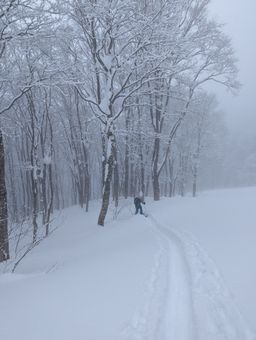2023-02-03-Myoko-015.jpg