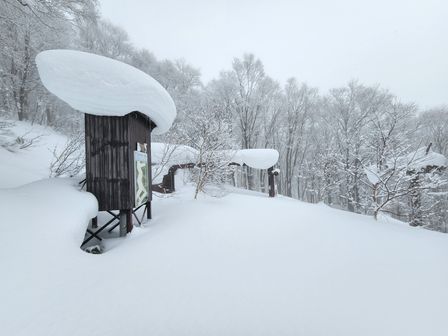 2023-02-03-Myoko-016.jpg