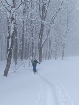 2023-02-03-Myoko-017.jpg
