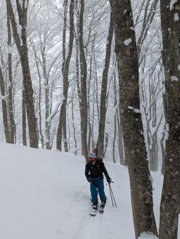 2023-02-03-Myoko-021.jpg