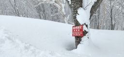 2023-02-03-Myoko-022.jpg