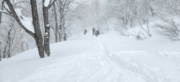 2023-02-03-Myoko-023.jpg