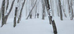 2023-02-03-Myoko-027.jpg