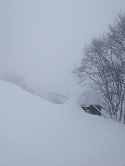 2023-02-03-Myoko-030.jpg