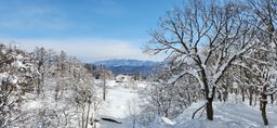 2023-02-04-Myoko-005.jpg