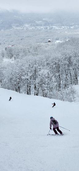 2023-02-05-Myoko-005.jpg